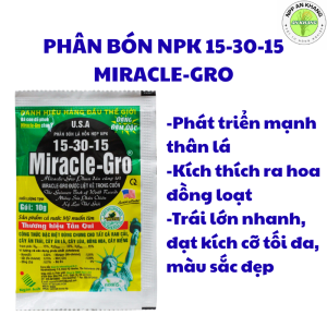 Phân bón NPK